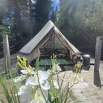 Glamping-dimbo Luxuszelt