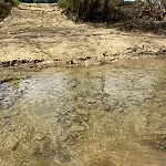 Glamping-dimbo * Krynica Zdroj