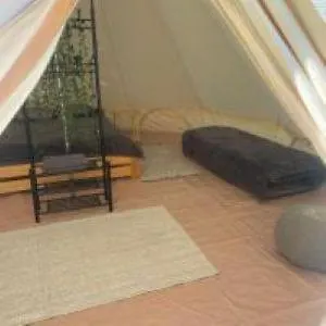 Glamping-dimbo Krynica Zdrój