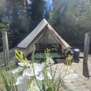 Luxussátor Glamping-dimbo *